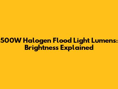 500W Halogen Flood Light Lumens: Brightness Explained
