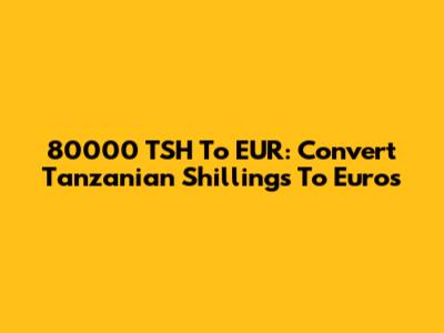 80000 TSH To EUR: Convert Tanzanian Shillings To Euros