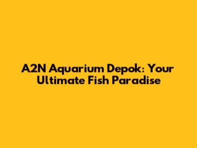 A2N Aquarium Depok: Your Ultimate Fish Paradise