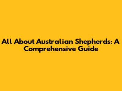 All About Australian Shepherds: A Comprehensive Guide