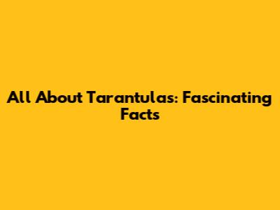 All About Tarantulas: Fascinating Facts
