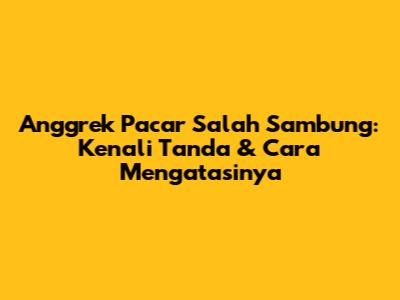 Anggrek Pacar Salah Sambung: Kenali Tanda & Cara Mengatasinya