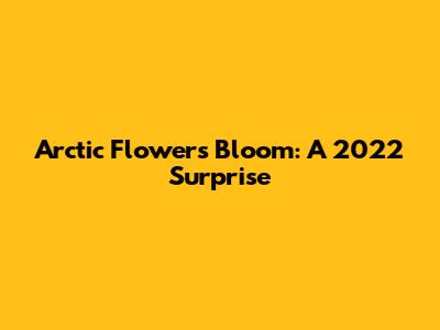 Arctic Flowers Bloom: A 2022 Surprise