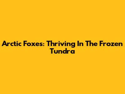 Arctic Foxes: Thriving In The Frozen Tundra