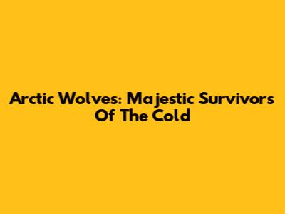 Arctic Wolves: Majestic Survivors Of The Cold