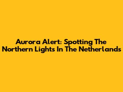 Aurora Alert: Spotting The Northern Lights In The Netherlands