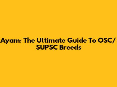 Ayam: The Ultimate Guide To OSC/SUPSC Breeds