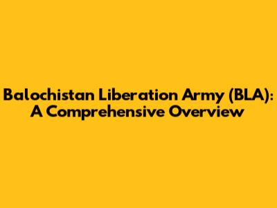 Balochistan Liberation Army (BLA): A Comprehensive Overview