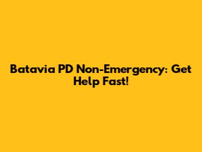 Batavia PD Non-Emergency: Get Help Fast!