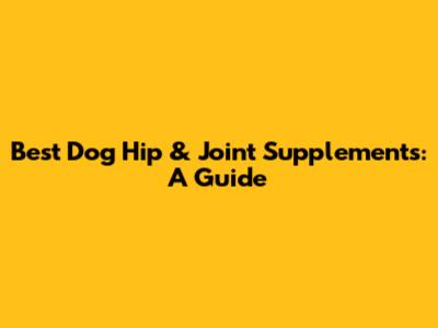 Best Dog Hip & Joint Supplements: A Guide