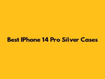 Best IPhone 14 Pro Silver Cases