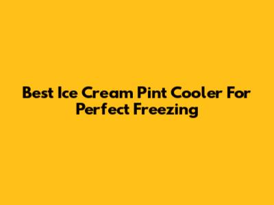 Best Ice Cream Pint Cooler For Perfect Freezing