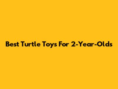 Best Turtle Toys For 2-Year-Olds