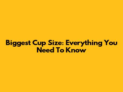 Biggest Cup Size: Everything You Need To Know