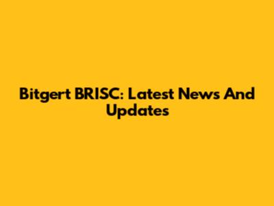 Bitgert BRISC: Latest News And Updates