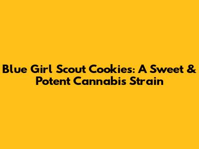 Blue Girl Scout Cookies: A Sweet & Potent Cannabis Strain