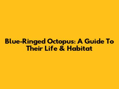Blue-Ringed Octopus: A Guide To Their Life & Habitat