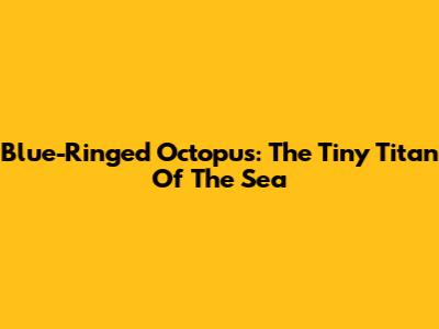 Blue-Ringed Octopus: The Tiny Titan Of The Sea
