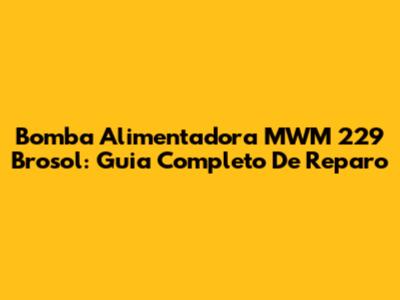 Bomba Alimentadora MWM 229 Brosol: Guia Completo De Reparo