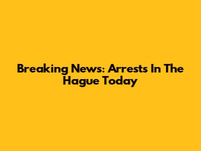 Breaking News: Arrests In The Hague Today