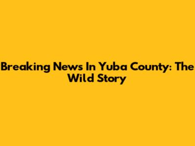 Breaking News In Yuba County: The Wild Story