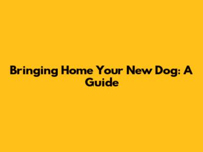 Bringing Home Your New Dog: A Guide