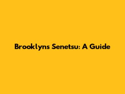 Brooklyn's Senetsu: A Guide