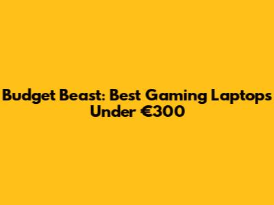 Budget Beast: Best Gaming Laptops Under €300