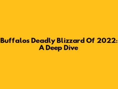 Buffalo's Deadly Blizzard Of 2022: A Deep Dive