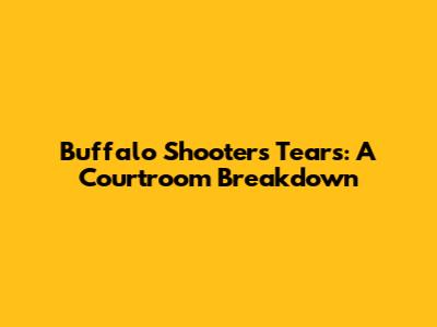 Buffalo Shooter's Tears: A Courtroom Breakdown