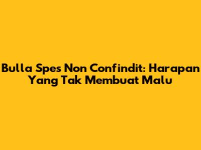 Bulla Spes Non Confindit: Harapan Yang Tak Membuat Malu