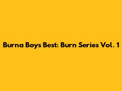 Burna Boy's Best: Burn Series Vol. 1