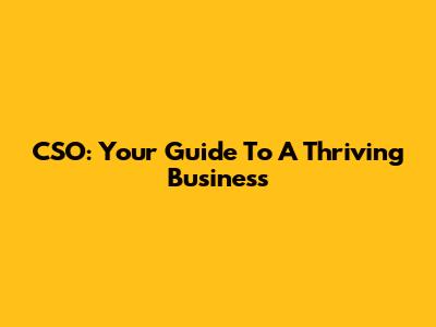 CSO: Your Guide To A Thriving Business