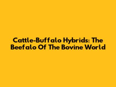 Cattle-Buffalo Hybrids: The Beefalo Of The Bovine World