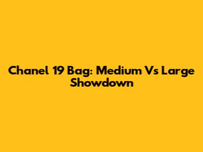 Chanel 19 Bag: Medium Vs Large Showdown