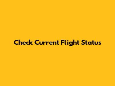 Check Current Flight Status