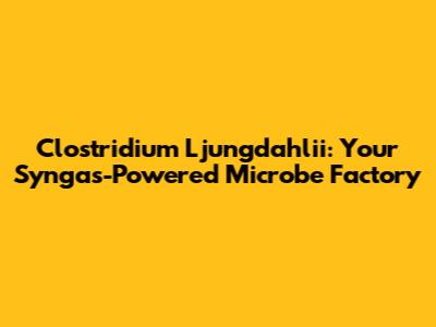 Clostridium Ljungdahlii: Your Syngas-Powered Microbe Factory