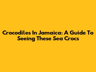 Crocodiles In Jamaica: A Guide To Seeing These Sea Crocs