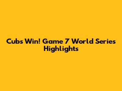Cubs Win! Game 7 World Series Highlights
