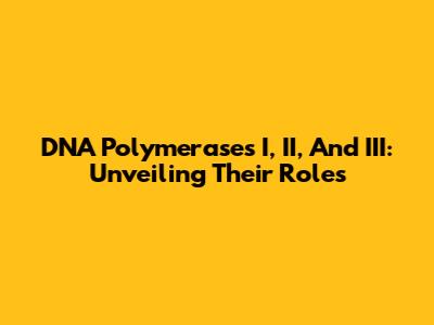 DNA Polymerases I, II, And III: Unveiling Their Roles