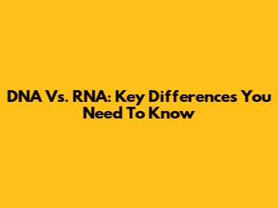 DNA Vs. RNA: Key Differences You Need To Know