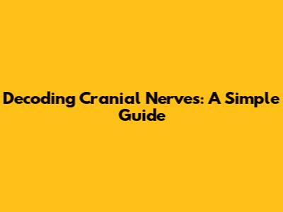 Decoding Cranial Nerves: A Simple Guide