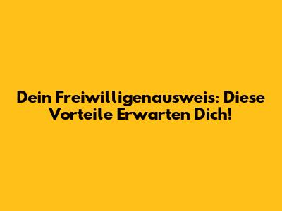 Dein Freiwilligenausweis: Diese Vorteile Erwarten Dich!