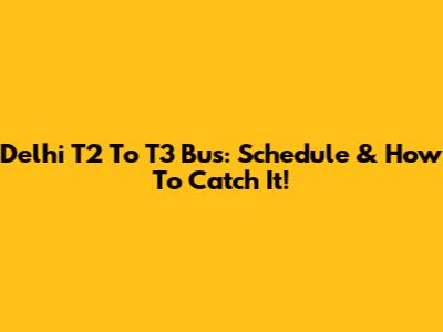 Delhi T2 To T3 Bus: Schedule & How To Catch It!
