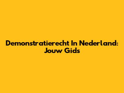 Demonstratierecht In Nederland: Jouw Gids
