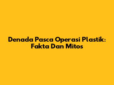 Denada Pasca Operasi Plastik: Fakta Dan Mitos