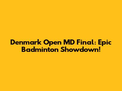 Denmark Open MD Final: Epic Badminton Showdown!