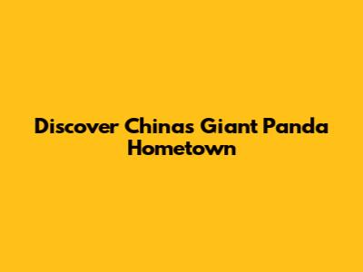Discover China's Giant Panda Hometown