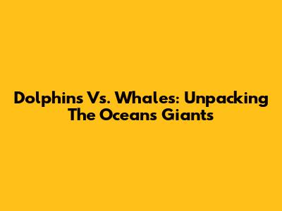 Dolphins Vs. Whales: Unpacking The Ocean's Giants