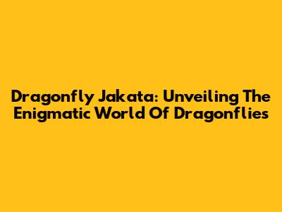 Dragonfly Jakata: Unveiling The Enigmatic World Of Dragonflies